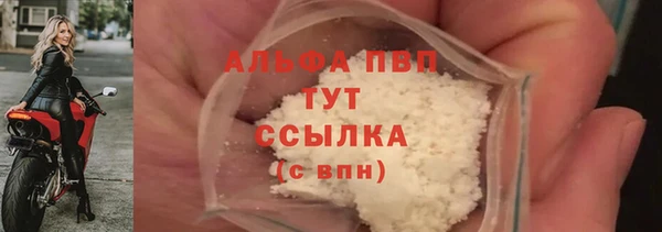 дживик Баксан