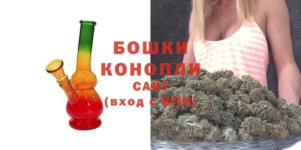 дживик Баксан