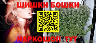 СК Гагарин