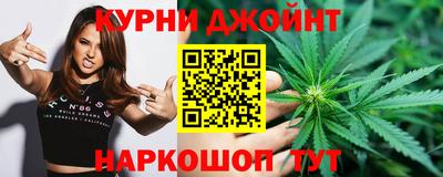 амф Гай
