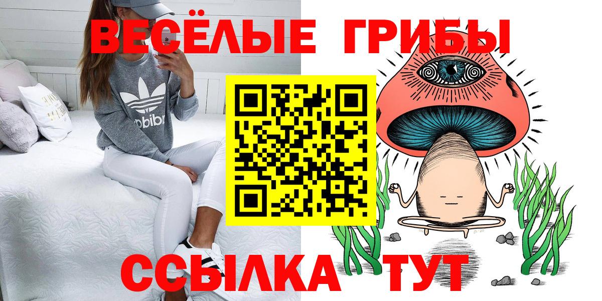 Нерюнгри  Псилоцибиновые грибы ЛСД  Галлюциногенные грибы прущие грибы  Вход с VPN 