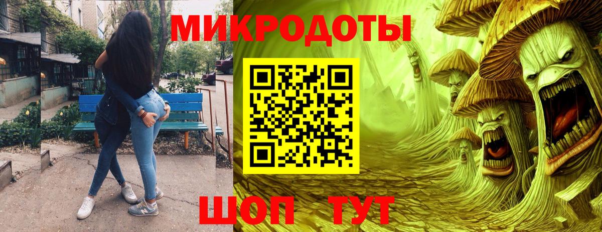 Галлюциногенные грибы Psilocybe Нерюнгри